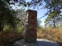 -大青沟风景区