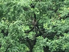 景点-云台山风景名胜区