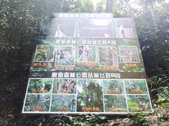 -西双版纳原始森林公园