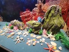 -上海中国航海博物馆