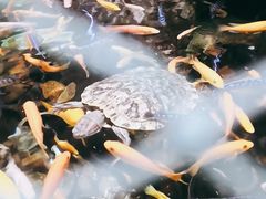 -太平洋海底世界