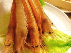 活虾-金海阁海鲜火锅