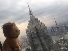 -上海柏悦酒店