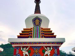 -塔尔寺-菩提树