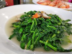 上汤豆苗-花好悦园(瀛洲店)