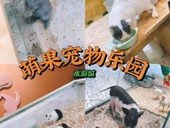 -鹏欣水游城