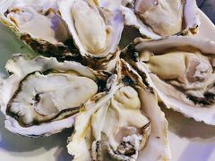 深海黄金蚝大个火锅-千岛蚝高压锅生蚝·人参火锅(白云万达店)