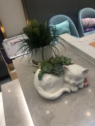 -欧扬医疗美容