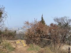 -惠山国家森林公园