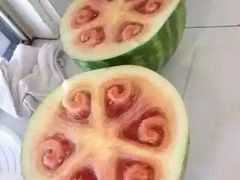 -山水温泉