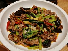 -川堂风·跷脚牛肉·乐山爆炒(宝山日月光店)