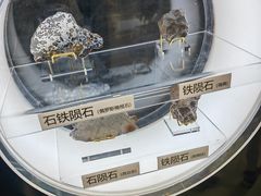 -上海儿童博物馆