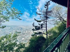 -兰山公园