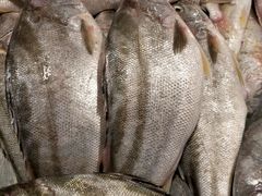 -鸿港海鲜批发市场