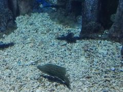 -福州罗源湾海洋世界旅游区