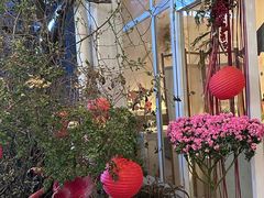 -春树下·树屋花房西餐厅(罍街AS1980店)