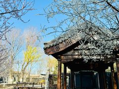 -春风习习