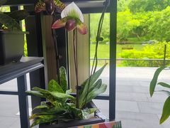 -云溪植物园