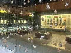 -青岛贝壳博物馆