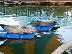 -华夏文旅海洋公园