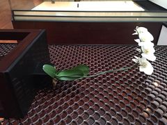 璞丽酒店-上海璞麗酒店