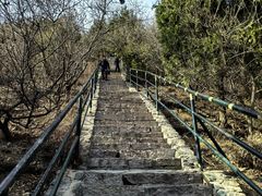 -香山公园