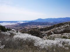 -云峰山自然风景区