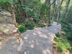-云龙山