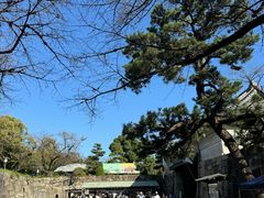 -名古屋城