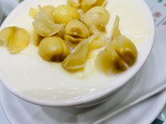-义顺牛奶公司(新马路老店)