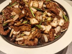 -秀儿四九城·新京菜(亚运村鸟巢店)