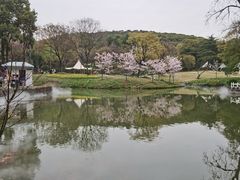 -无锡梅园公园