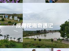 -空港花田景区