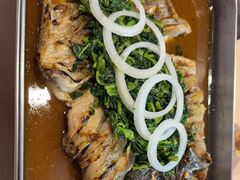 -鱼酷活鱼烤鱼(沈阳大悦城店)