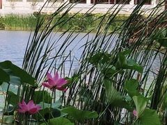 -辽宁中医药大学杏林学院(新校区)