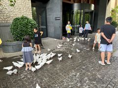 -清河半岛温泉度假酒店