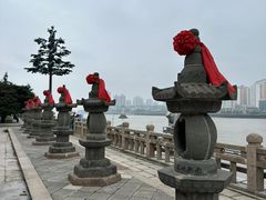 -江心屿景区