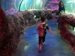 -沈阳海洋探索中心