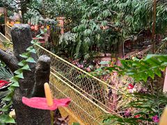 -正佳雨林生态植物园