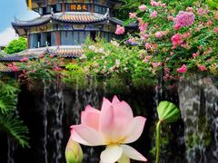 -广州塔