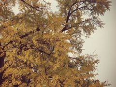 -无锡惠山寺