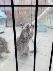 -萌宠亲子动物乐园(槐房万达店)