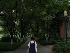-沙市市中山公园