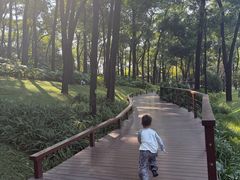 -云溪植物园