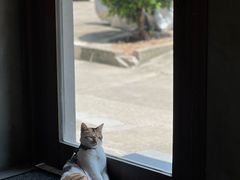 -Again Coffee Roaster(香蜜湖店)