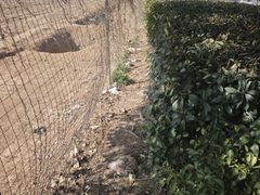 -平安金融中心云际观光层