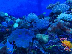 -成都浩海立方海洋公园