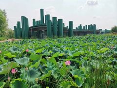 -西安浐灞国家湿地公园