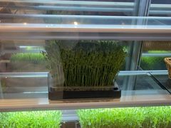 -旺顺阁海鲜广场(亚运村店)