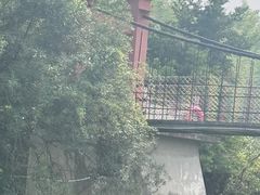-宜兴龙背山森林公园